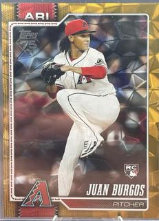 Juan Burgos