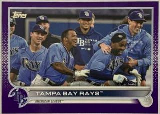 Tampa Bay Rays