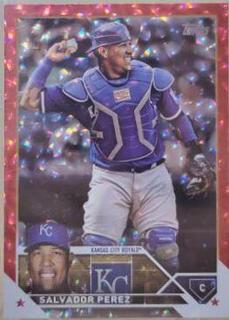 Salvador Perez