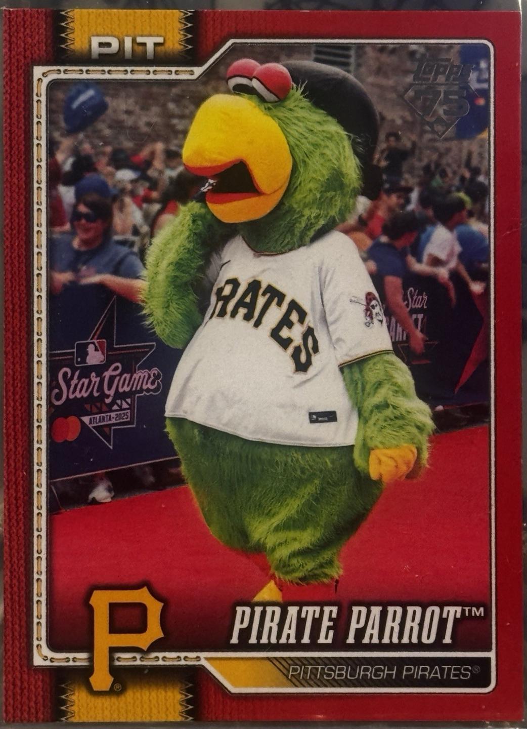 Pirate Parrot Pittsburgh Pirates [Red] #M-17