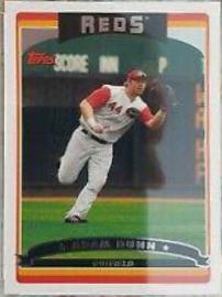 Adam Dunn