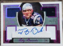 Tedy Bruschi