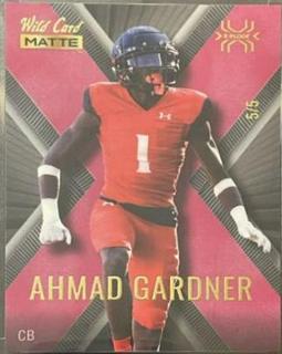 Ahmad Gardner