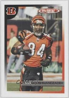 T.J. Houshmandzadeh