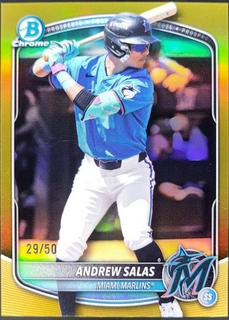 Andrew Salas