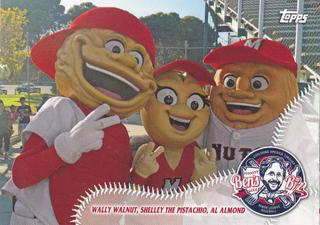 Wally Walnut / Shelly the Pistachio / Al Almond