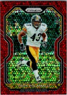 Troy Polamalu