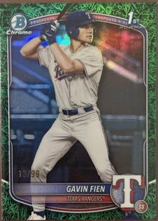 Gavin Fien