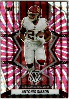 Antonio Gibson