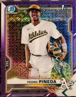 Pedro Pineda