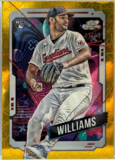 Gavin Williams