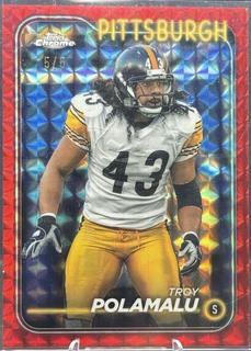 Troy Polamalu