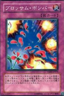 Blossom Bombardment TSHD-JP074