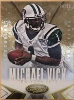 Michael Vick
