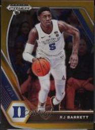 RJ Barrett