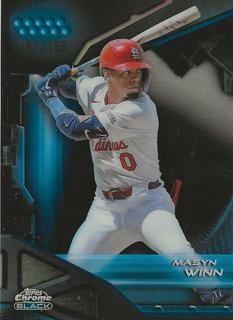 Masyn Winn