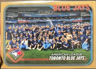 Toronto Blue Jays