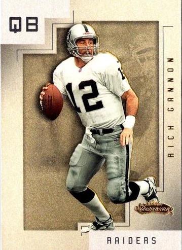 Rich Gannon #95 Football Cards 2001 Fleer Showcase