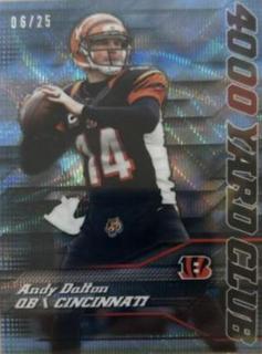 Andy Dalton