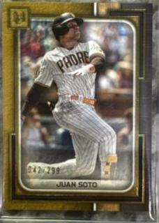Juan Soto