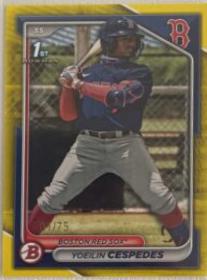 Yoeilin Cespedes