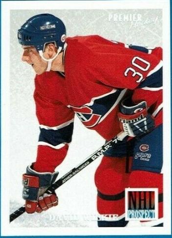 David Wilkie #481 1994-95 Topps Premier Hockey