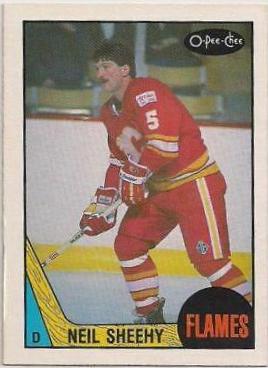 Neil Sheehy #213 Hockey Cards 1987 O-Pee-Chee