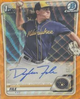 Dylan File