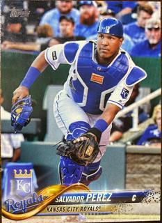 Salvador Perez