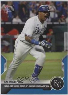 Salvador Perez