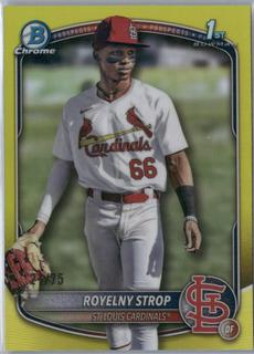 Royelny Strop