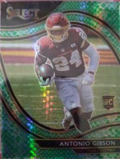 Antonio Gibson