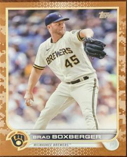 Brad Boxberger