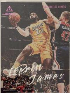 LeBron James