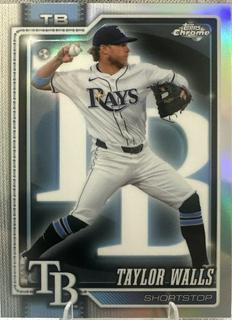 Taylor Walls