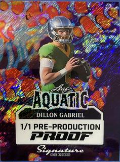 Dillon Gabriel