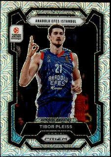 Tibor Pleiss