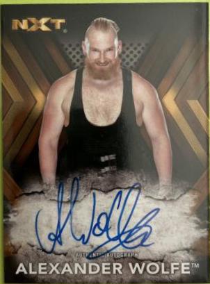 Alexander Wolfe #RA-AW Wrestling Cards 2017 Topps WWE NXT Autographs