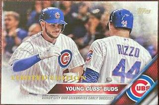Young Cubs Buds