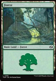 Forest