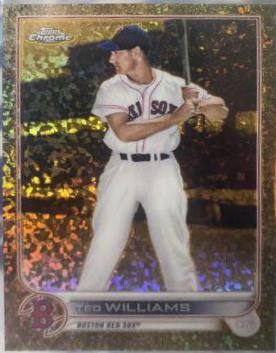 Ted Williams [Mini Diamond Gold] #102