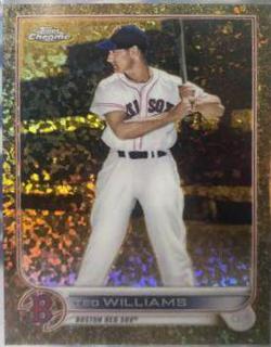 Ted Williams