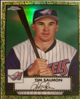 Tim Salmon