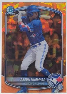 Arjun Nimmala