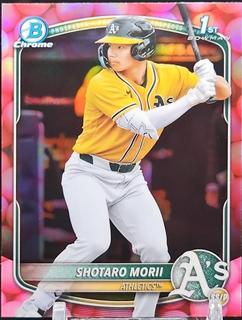 Shotaro Morii