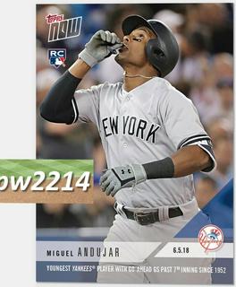 Miguel Andujar