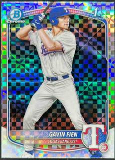 Gavin Fien