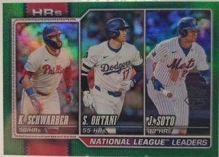National League Leaders HRs