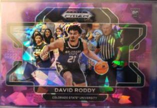 David Roddy