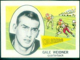 Gale Weidner